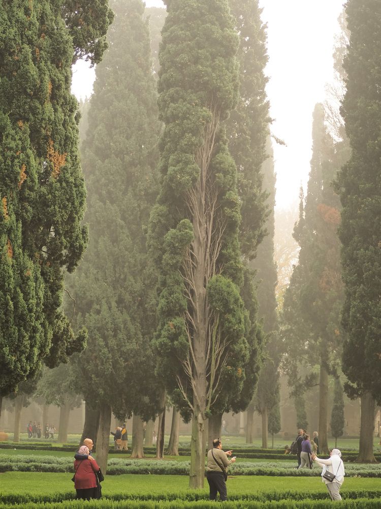 Photograph by Никита Ермаков