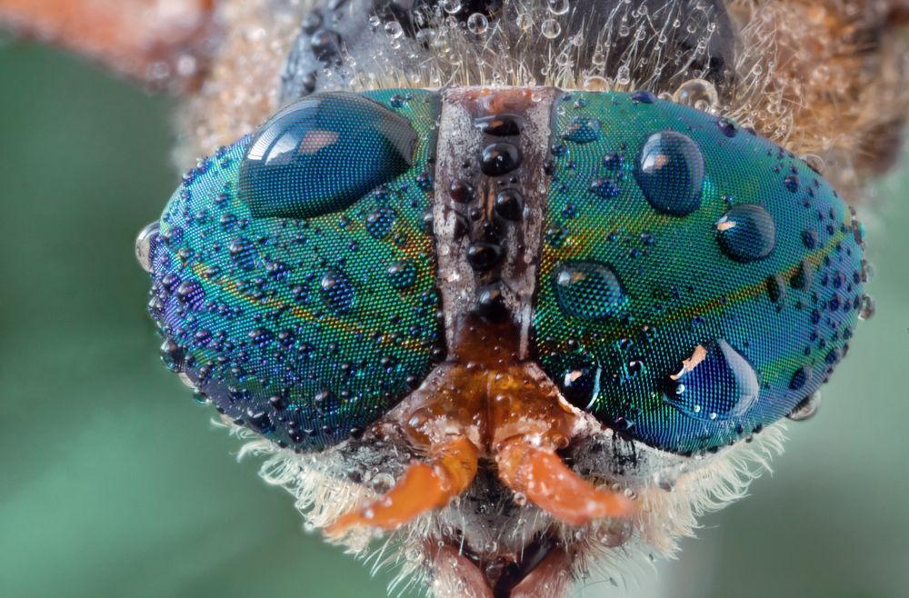 Photograph by Сергей Романченко