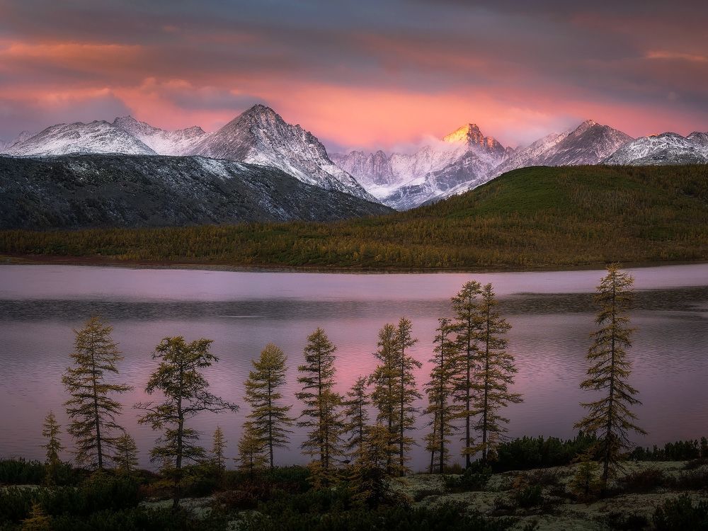 Photograph by Сергей Межин