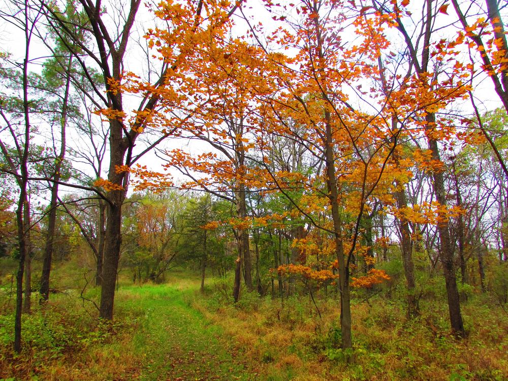 Photograph by nino nino