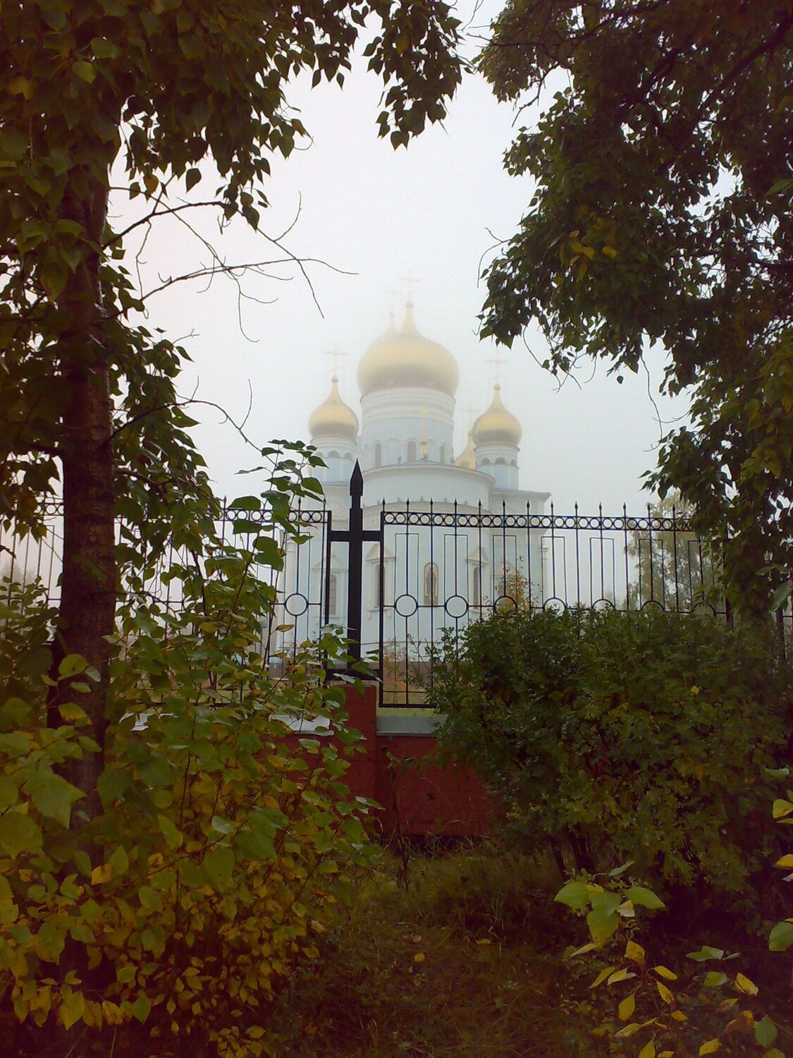 Photo #6700460