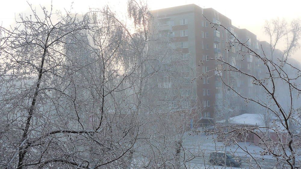 Photo #6700468