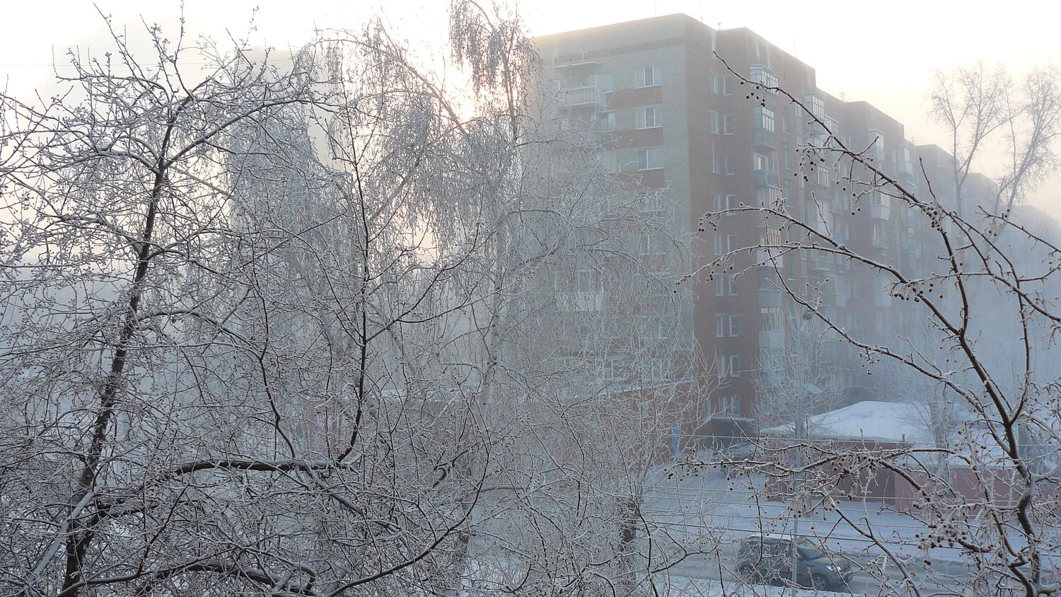Photo #6700468