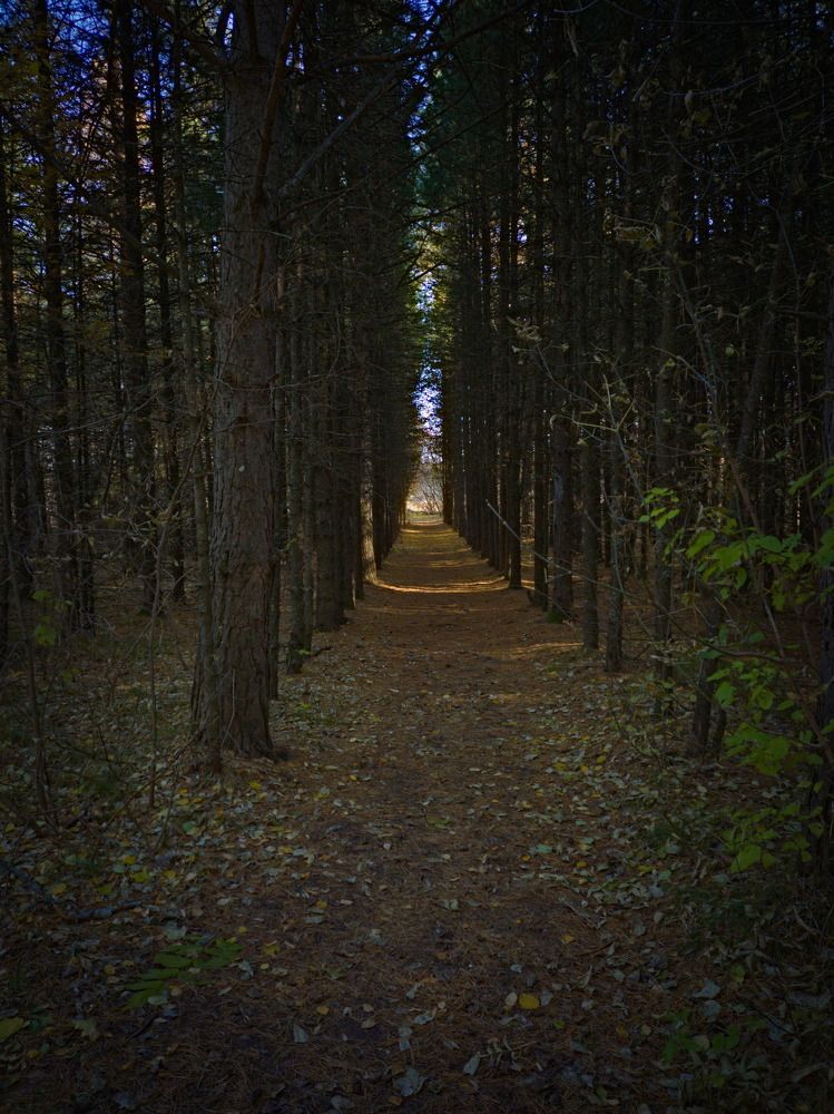 Photograph by Андрей Лебедев