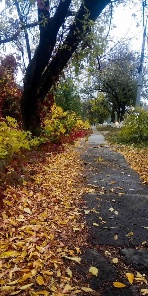 Photograph by Дарья Лазарева