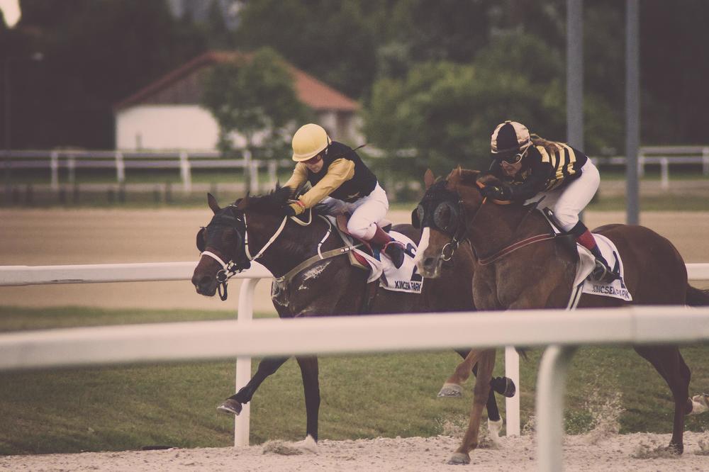 Photograph by nino nino