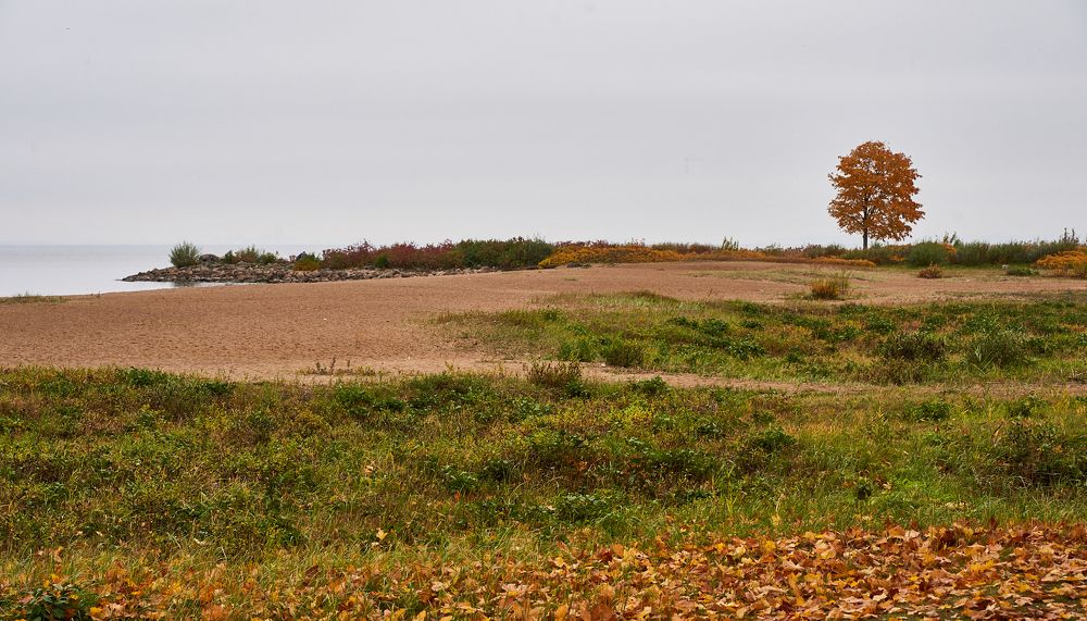 Photograph by Anton  Lavrentiev