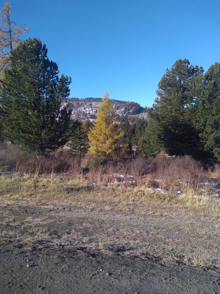 Photograph by СТЕПАН ДЖУЛАКИДЗЕ