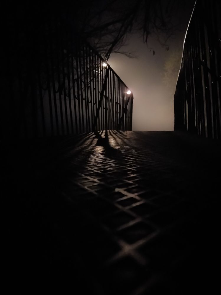 Фотография автора Наталья Алексеева