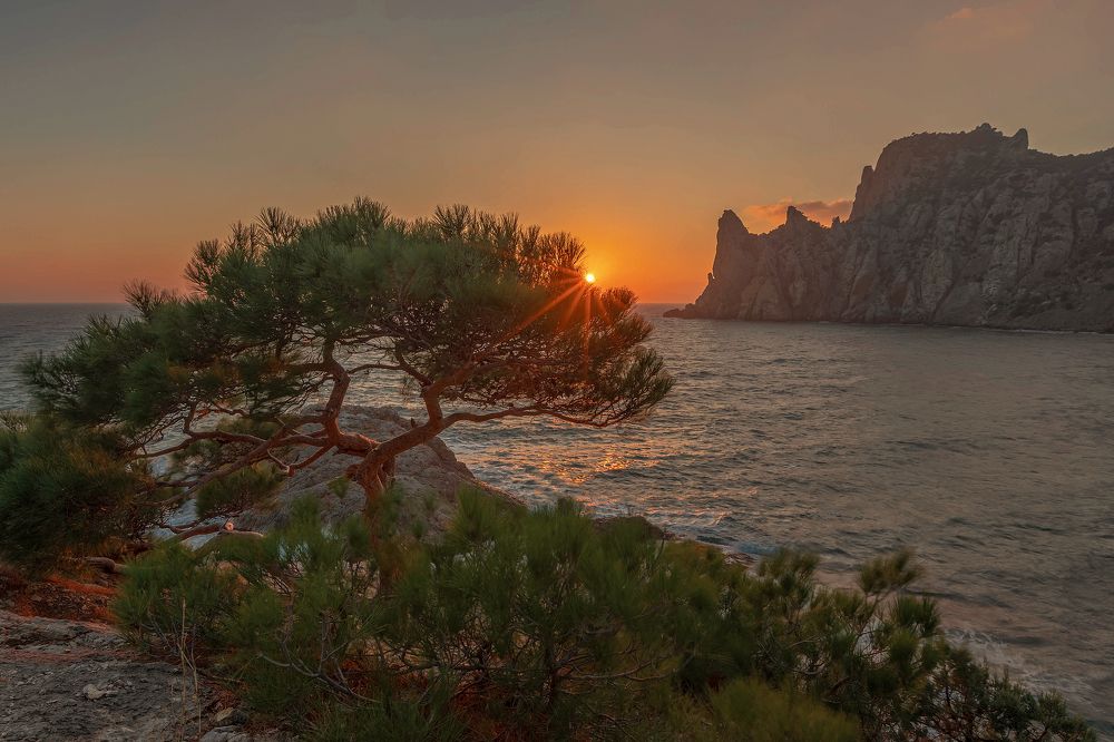 Photograph by Елена Гусева