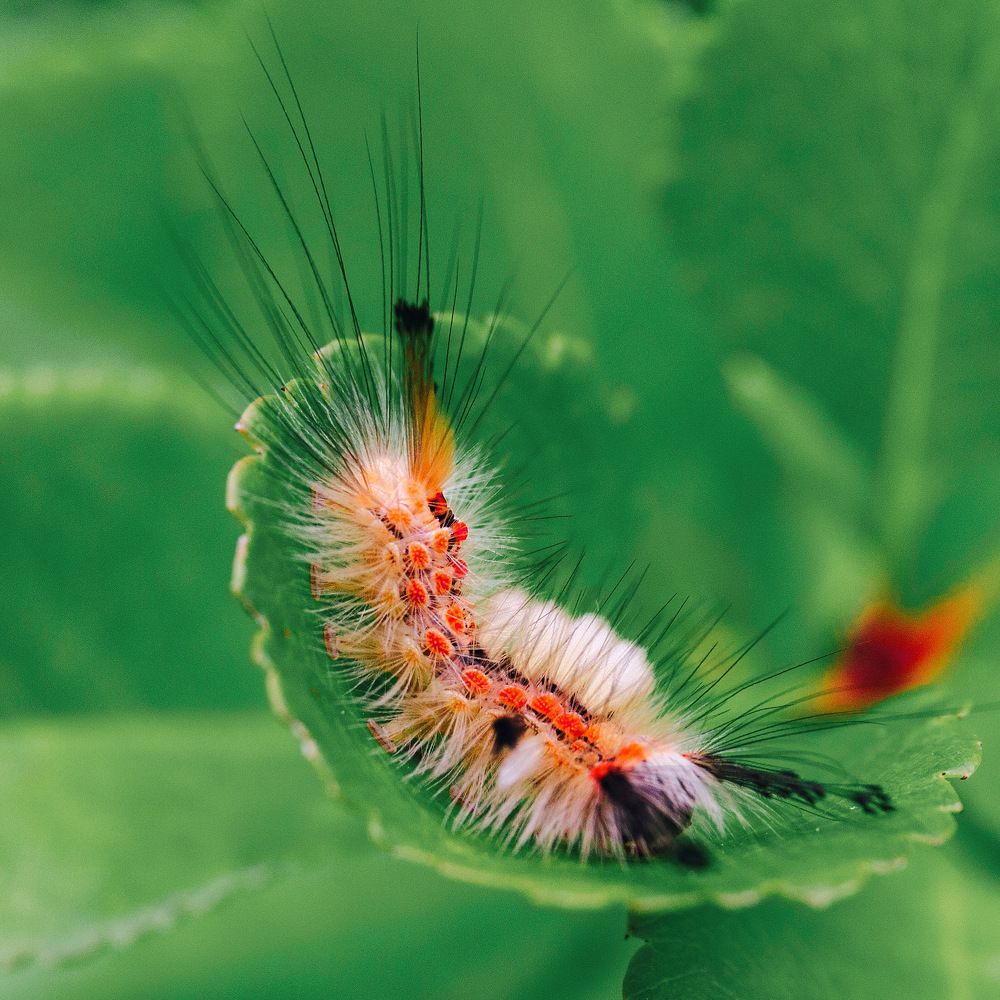 Photograph by Шувалова Мария