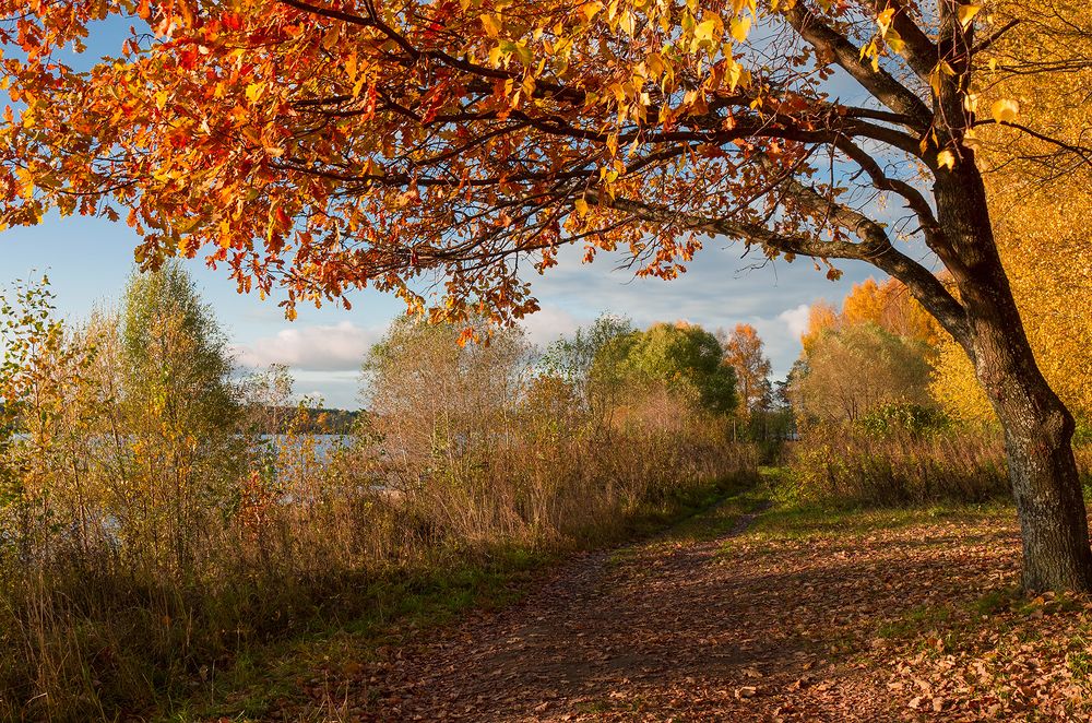 Photograph by Елена Потемина