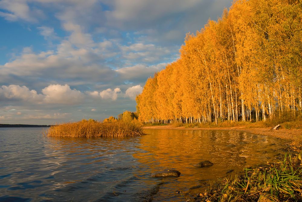 Photograph by Елена Потемина