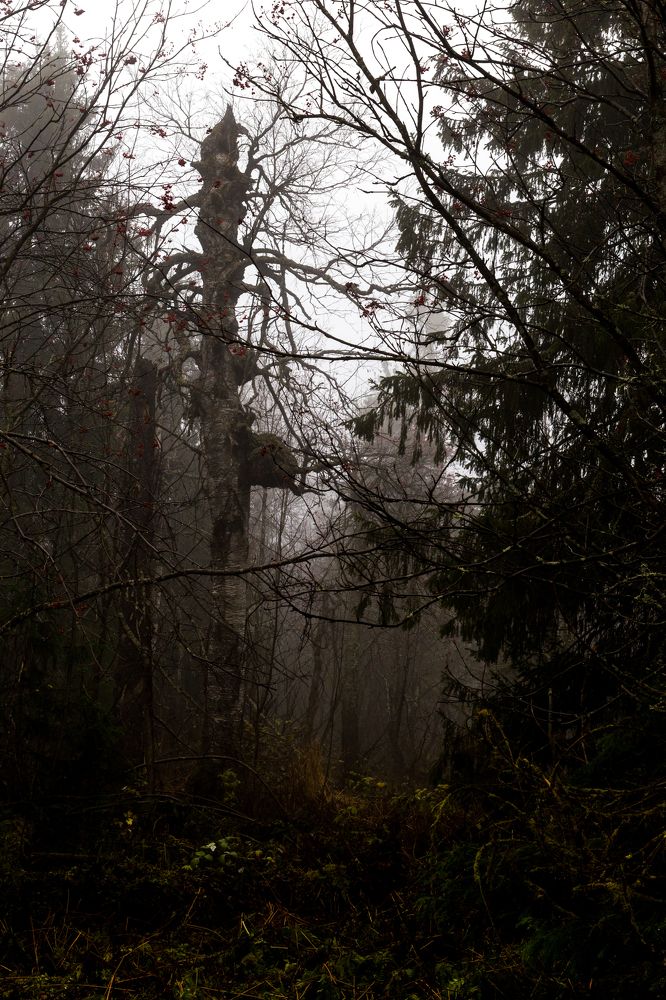 Photograph by Владимир Еловских