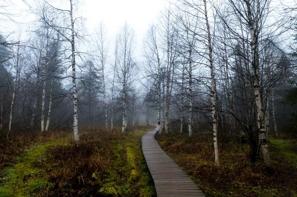 Photograph by Владимир Еловских