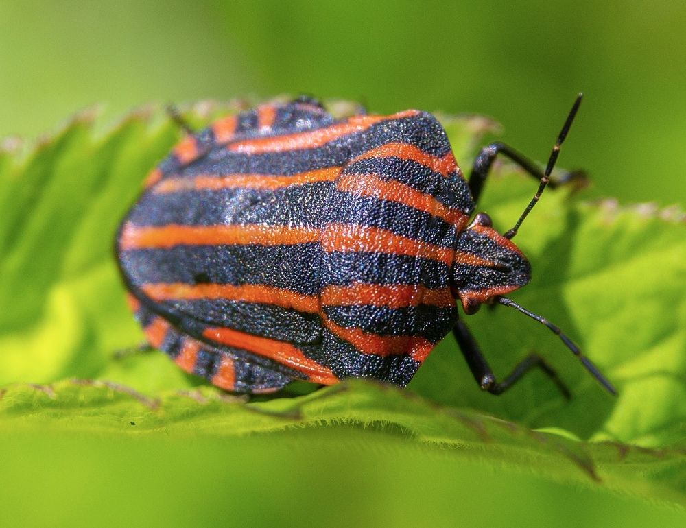 Photograph by Шувалова Мария
