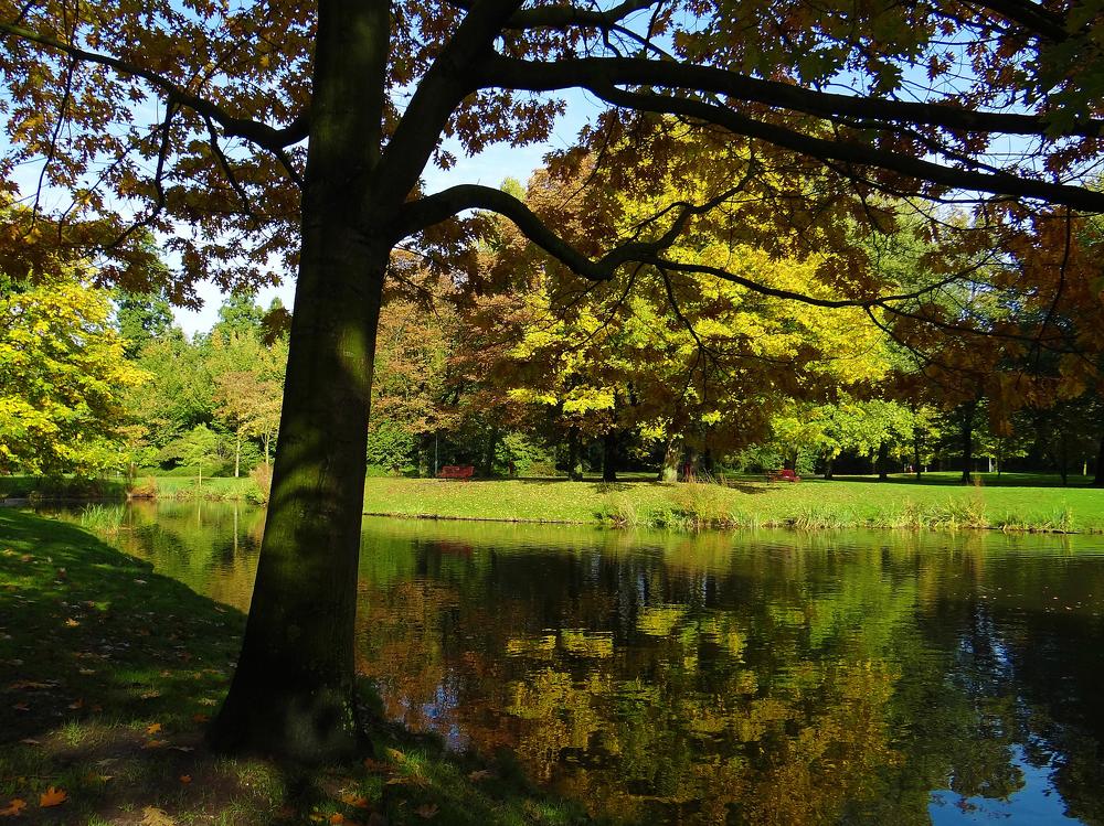 Photograph by nino nino