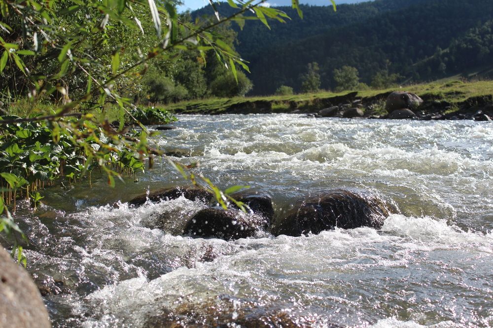 Photograph by СТЕПАН ДЖУЛАКИДЗЕ