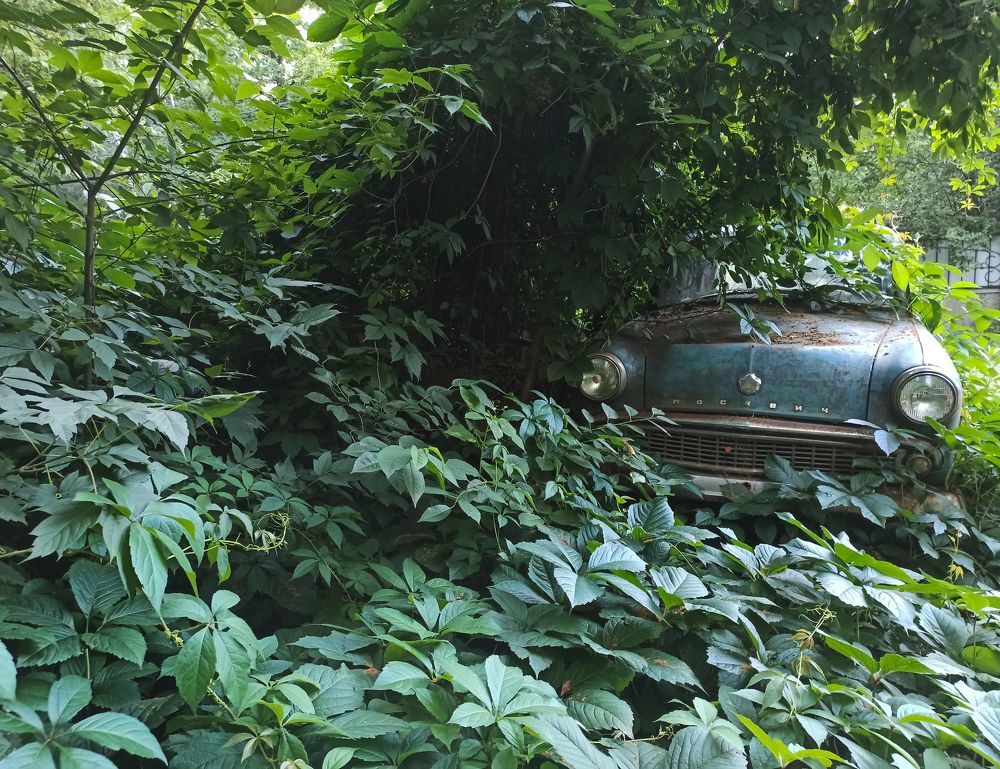 Photograph by Александр Ульянов