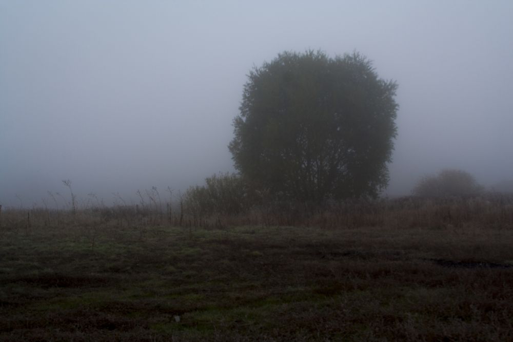 Photograph by Никита Михайлов