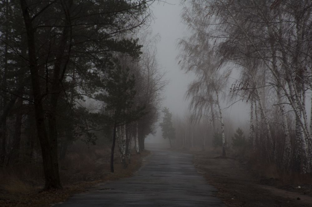 Photograph by Никита Михайлов