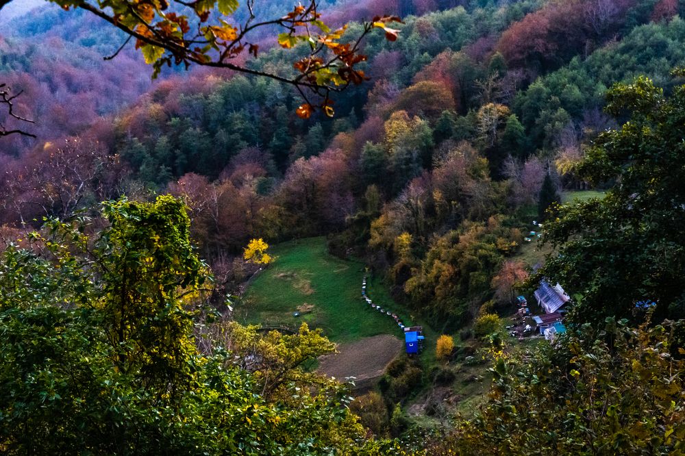 Photograph by Галина Аскольдовна Луковникова