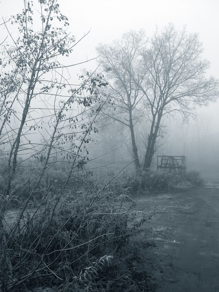 Photograph by Dariusz Gruszka