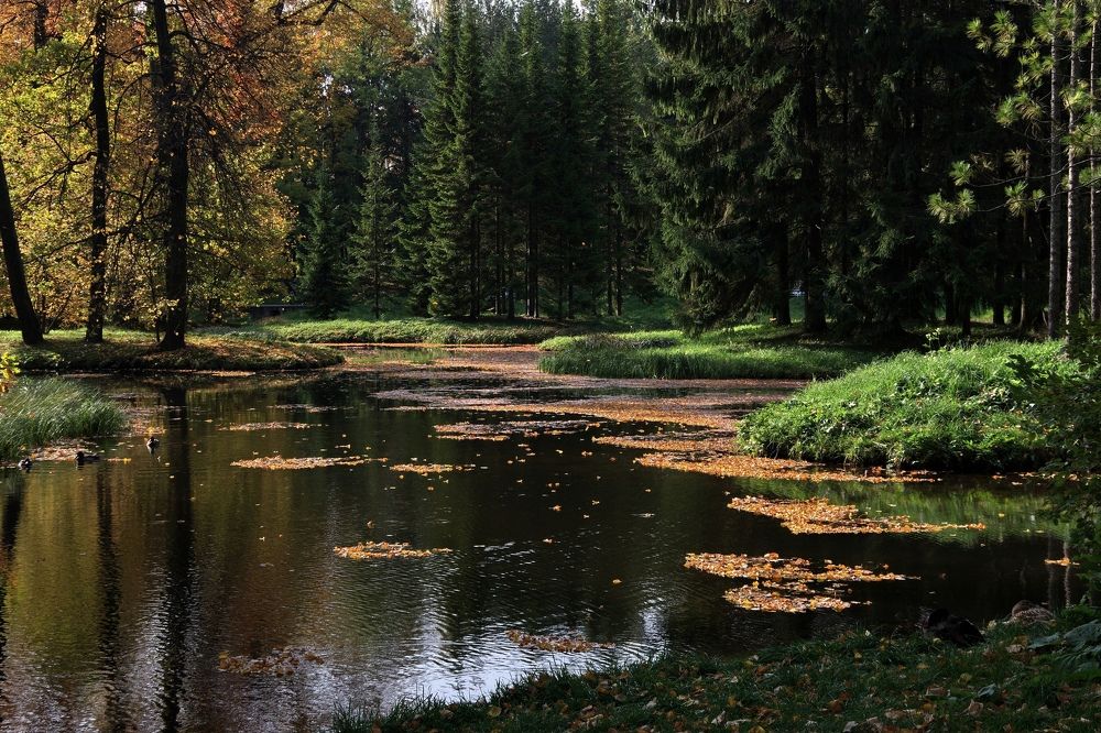 Photograph by Igor Sorokin