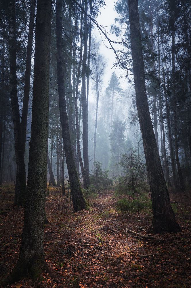 Поздней осенью.