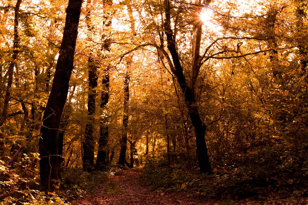 Photograph by Игорь Чечин