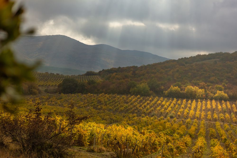 Photograph by Тина Тарасова