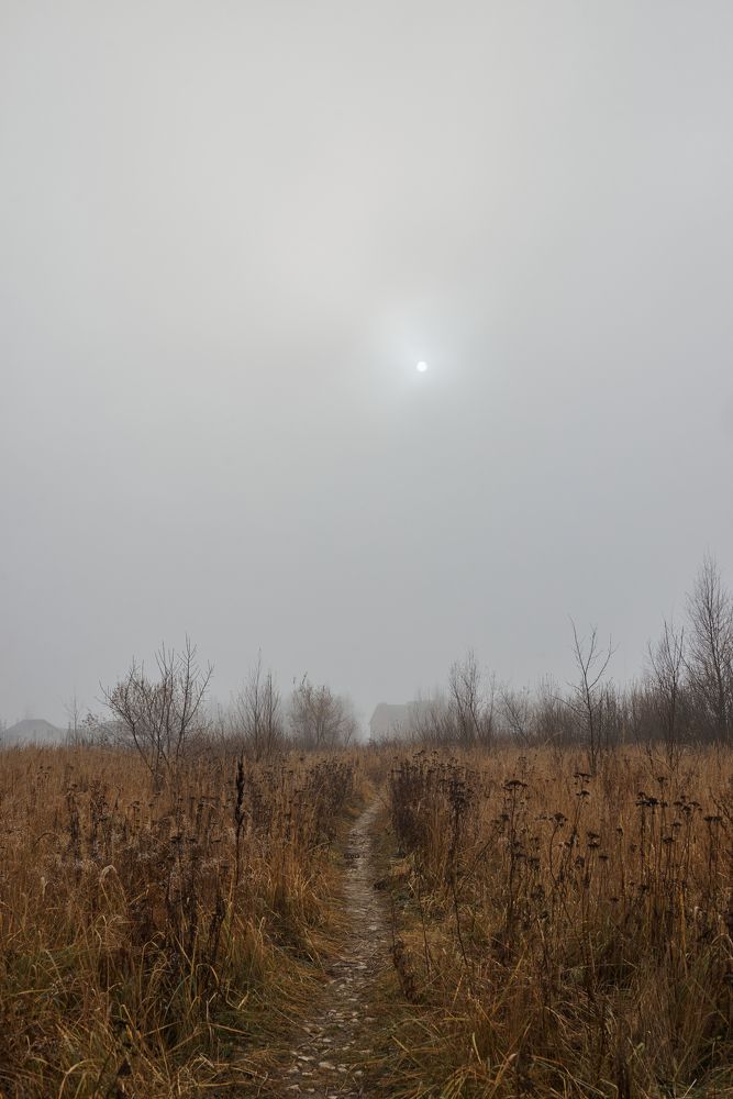 Photograph by Марина Отрадная