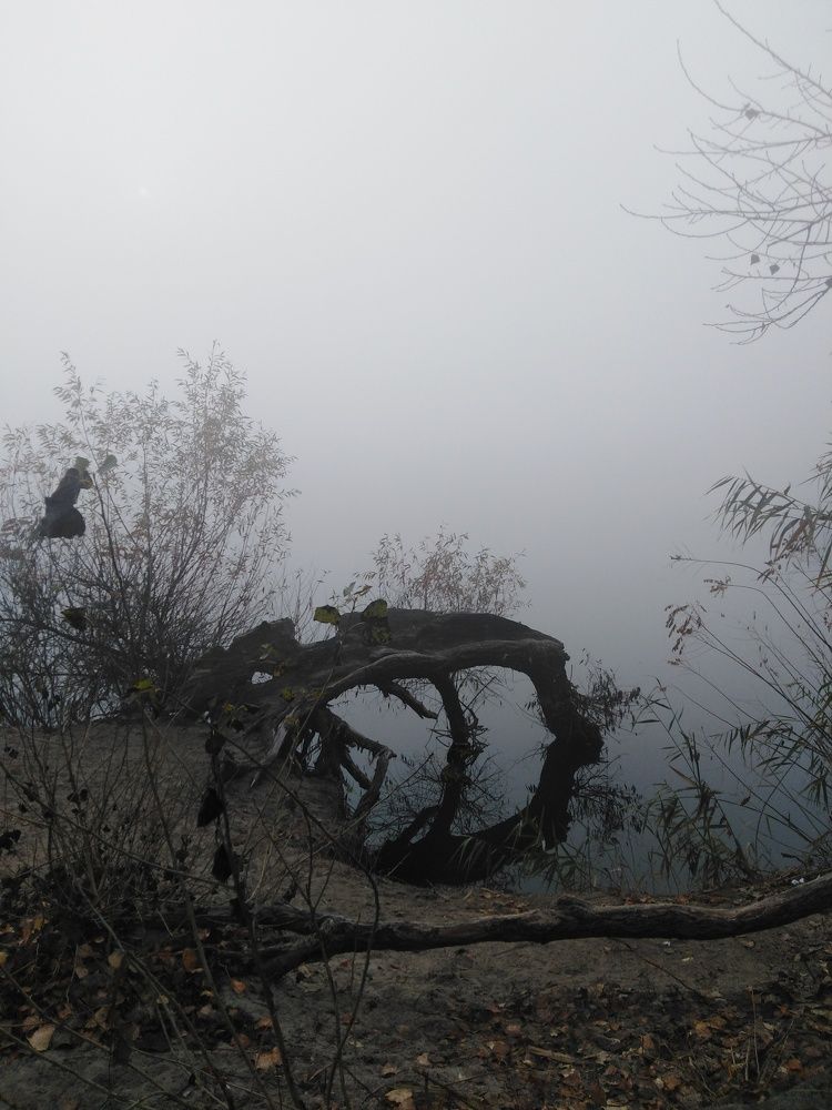 Photograph by Нелли