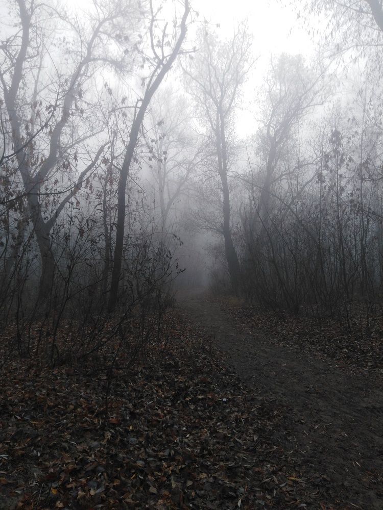 Photograph by Нелли