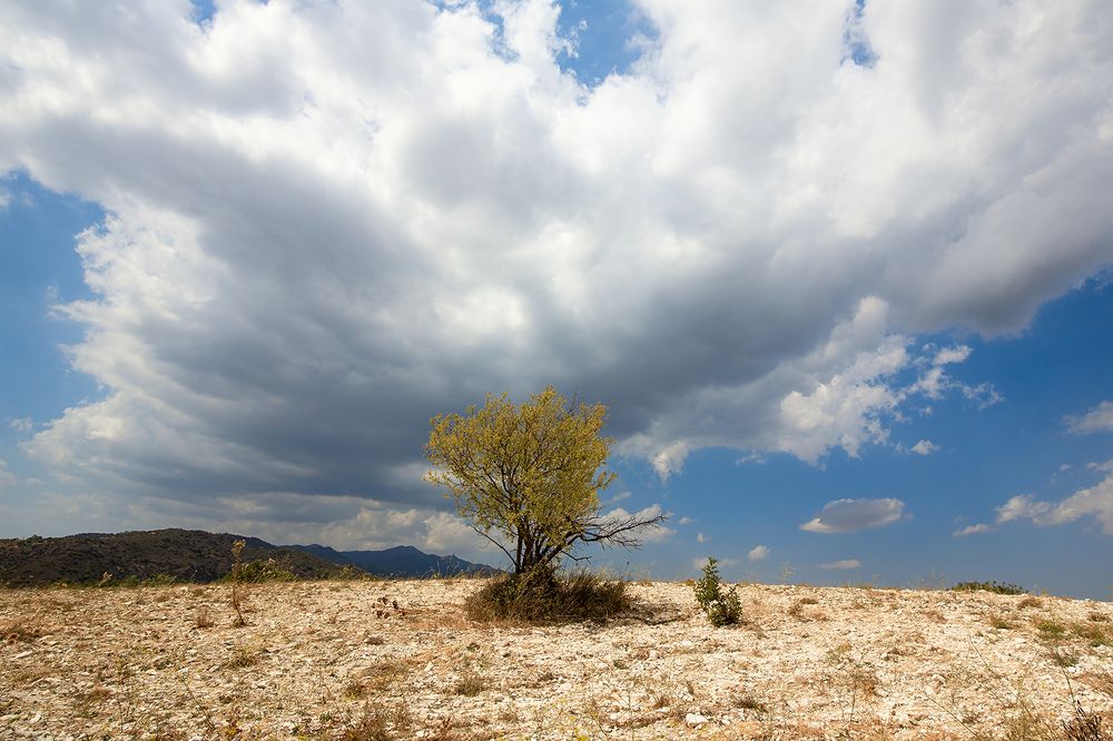 Photograph by Александр Леонтьев