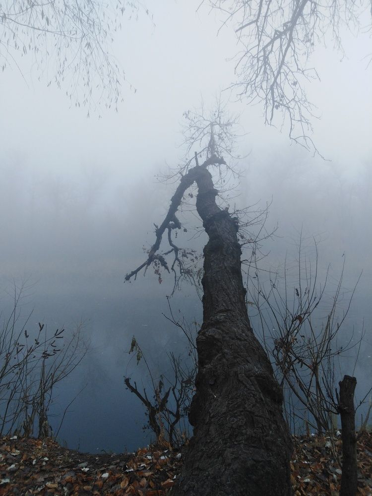 Photograph by Нелли