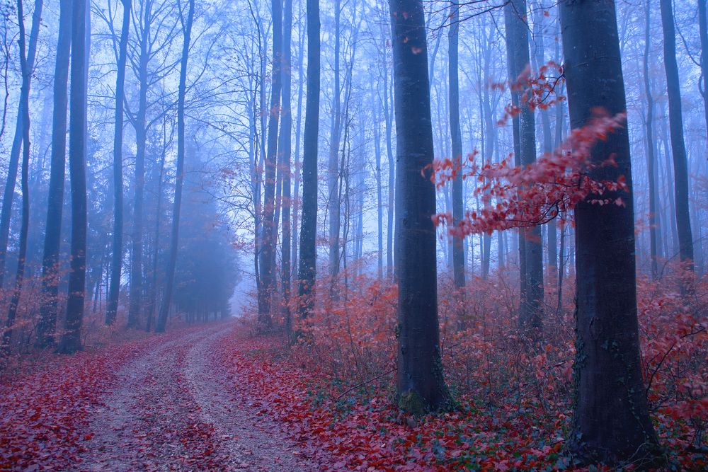 Photograph by Juri Vollenweider