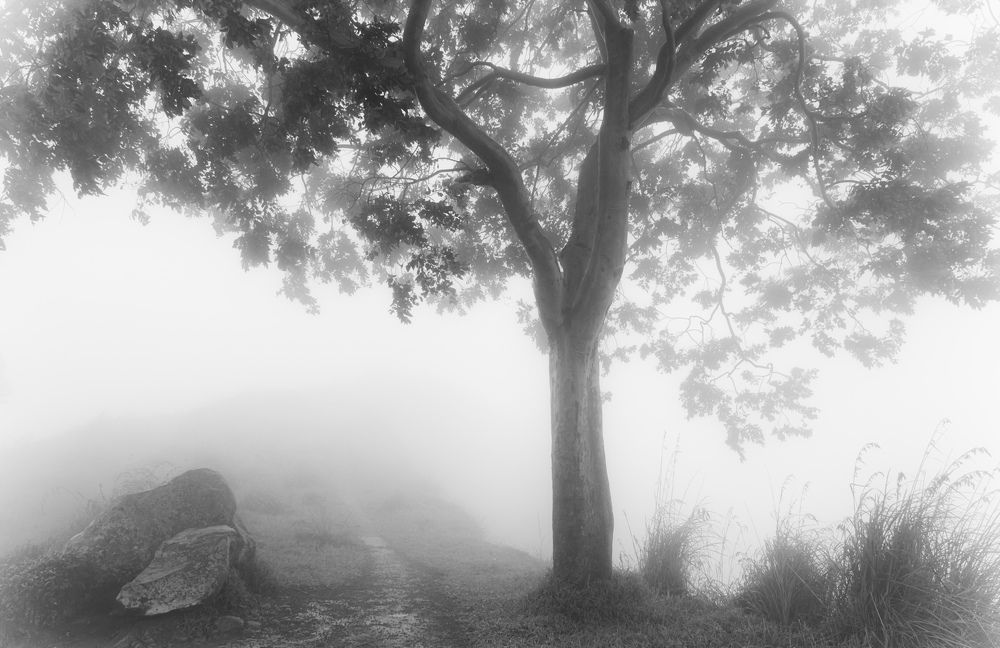 Photograph by Алексей Мумлев