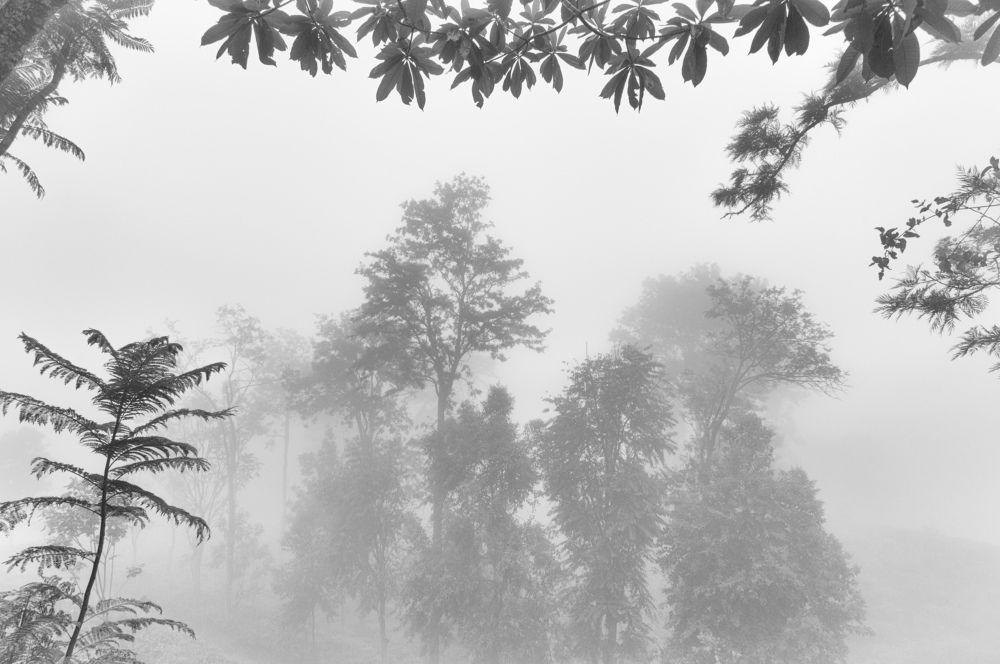 Photograph by Алексей Мумлев