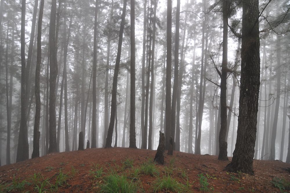 Photograph by Алексей Мумлев