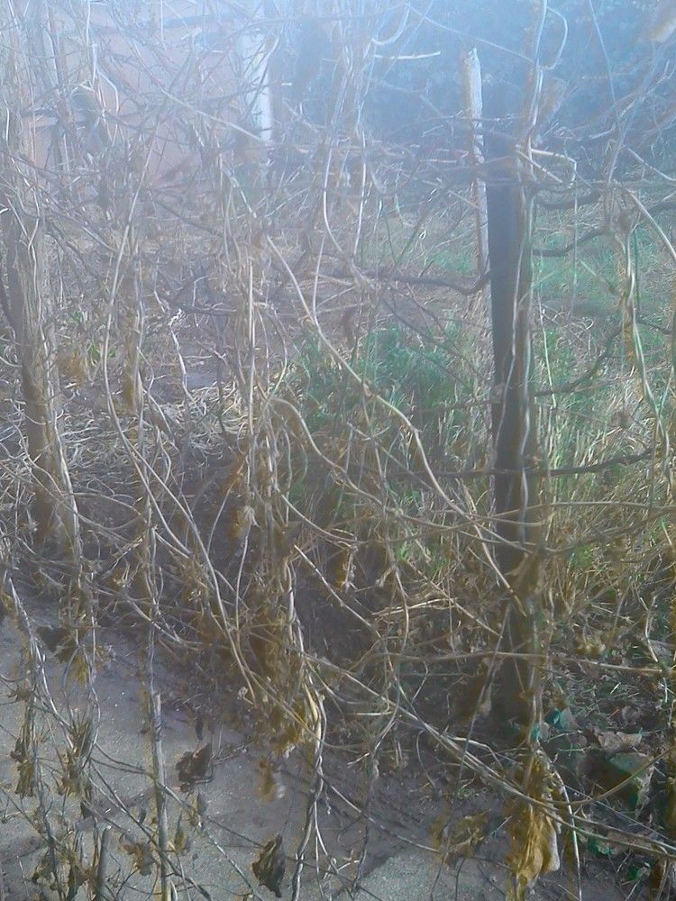 Photograph by eszter bodnár