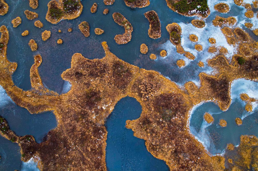 Photograph by Юлия Тельпова