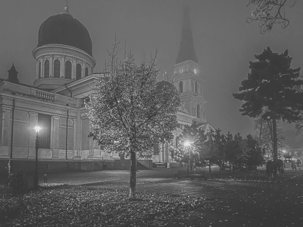 Photograph by Фаина Зеленая