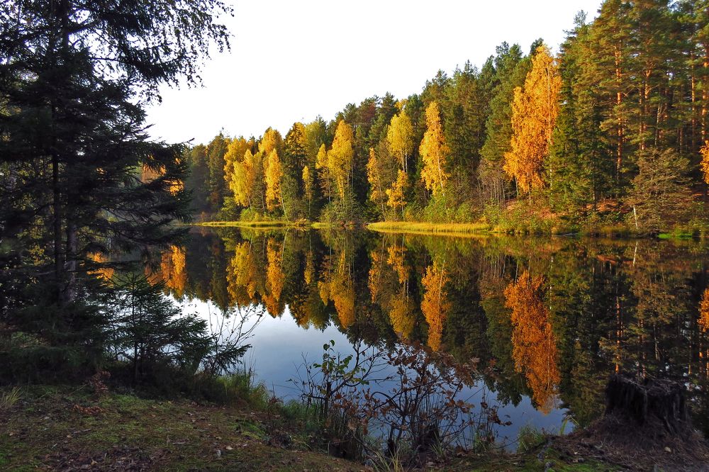 Photograph by Наташа Фишер