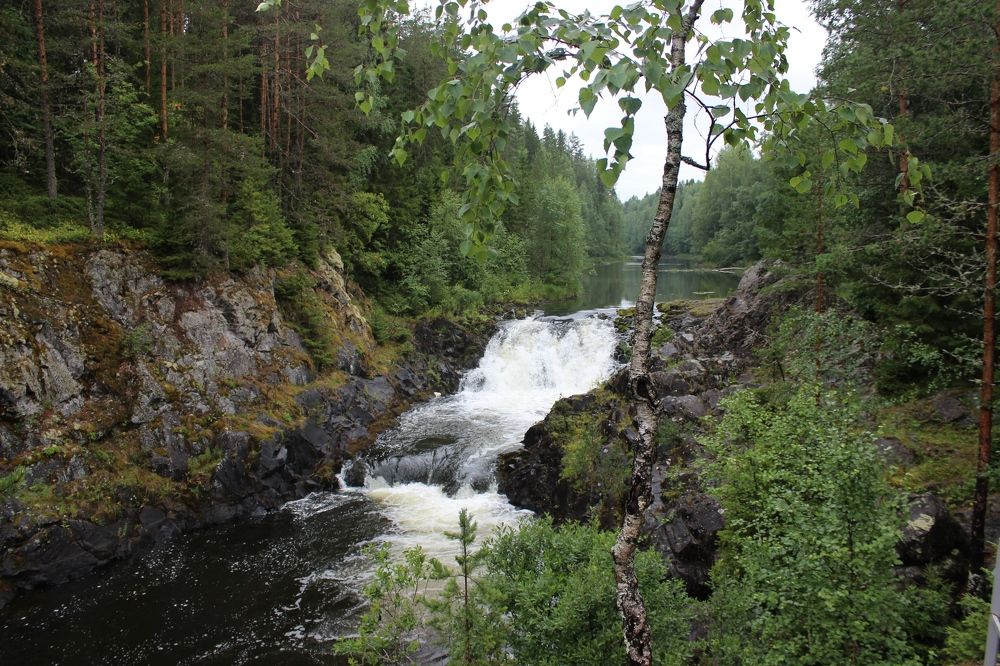 Photograph by Елена Петрова