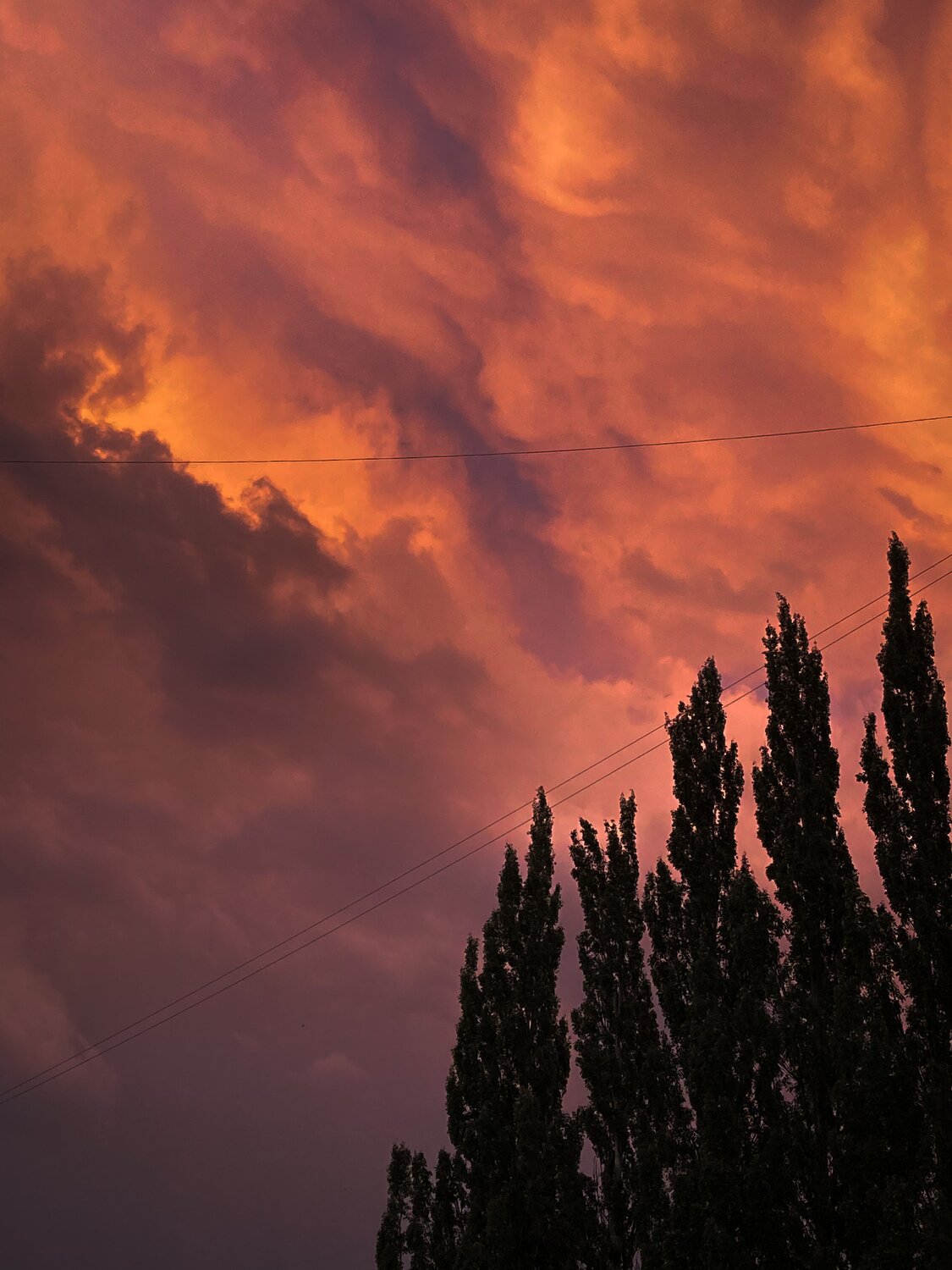 Photo #6701141