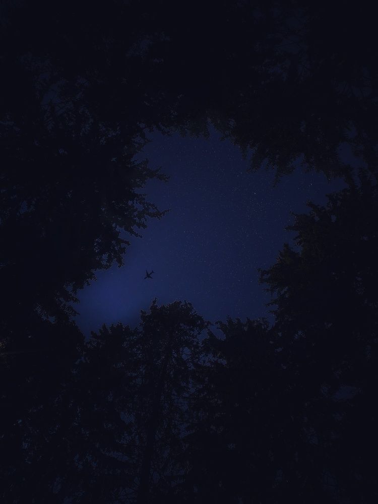Photo #6701145