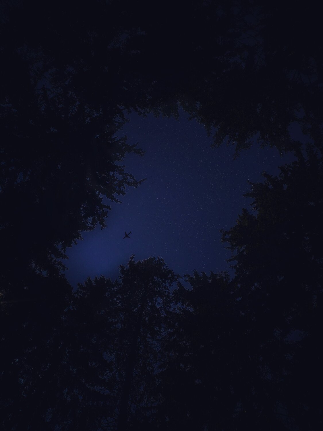 Photo #6701145