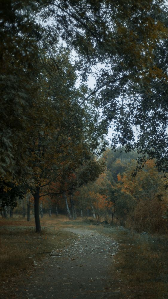 Photograph by Тараненко Анастасия