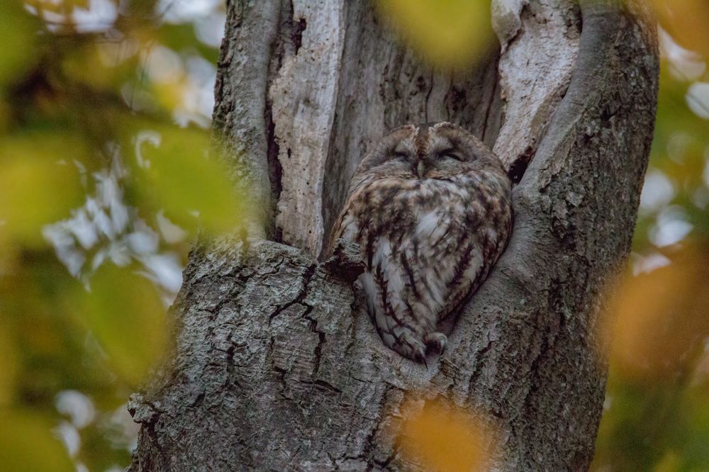 Photograph by NEZA CANKAR